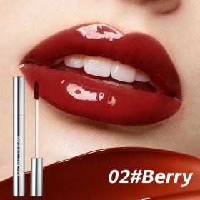 4 Colors Lip Gloss,Hydrating Lip Tint,Long Lasting Waterproof, High Shine Glossy Mirror Lip Stain, Long Lasting Moisturizing,Non Sticky, Romantic (Option: 02 Berry)